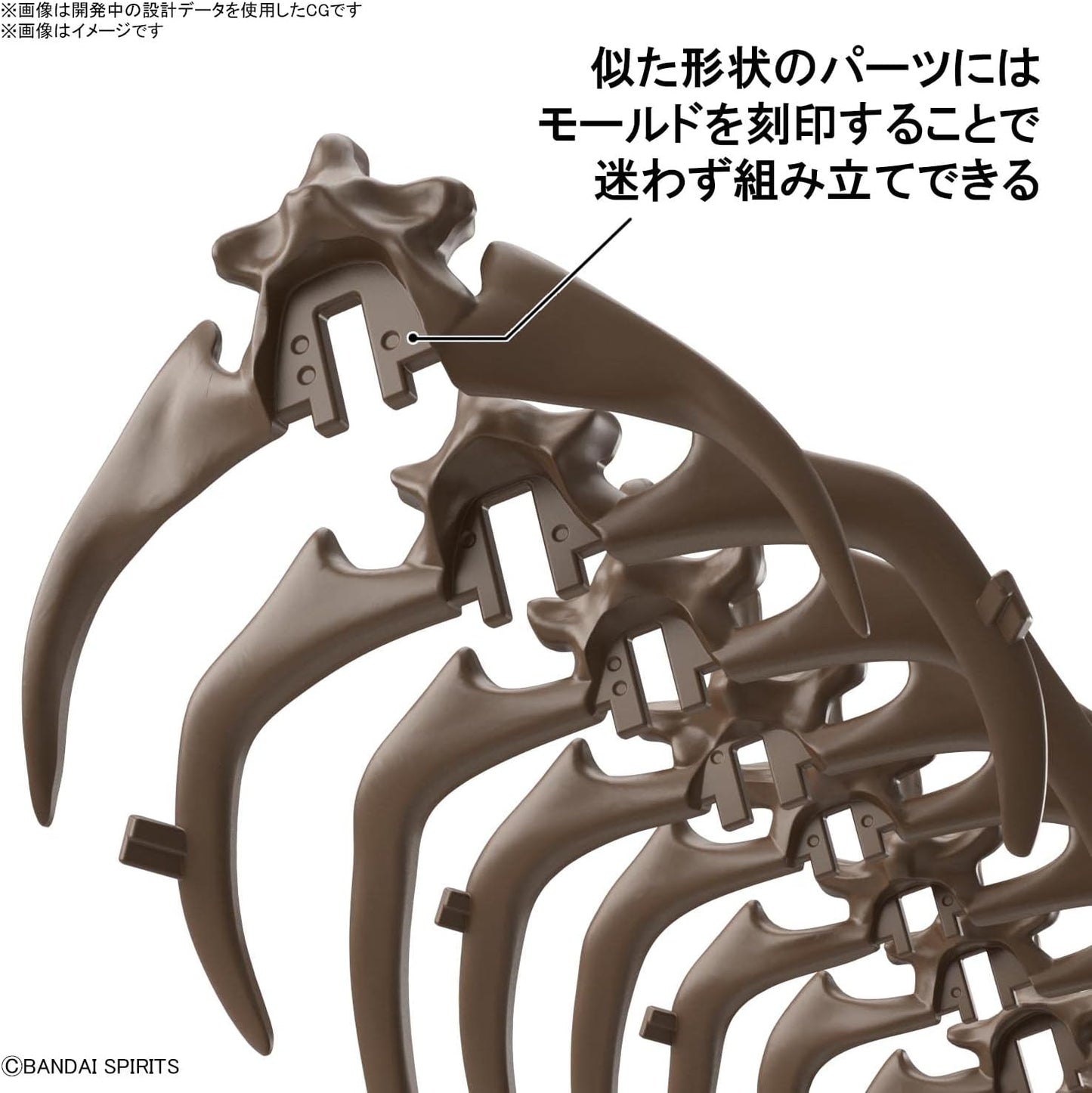 1/32 Bandai Hobby - Dinosaur - Triceratops, Bandai Spirits Imaginary Skeleton Model Kit