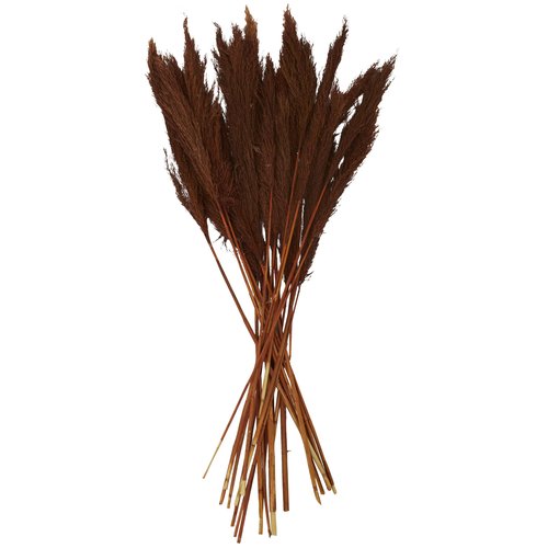 Deco 79 Dried Plant Pampas Home Decor Natural Foliage Natural Dried Foliage with Long Stems, Foliage for Decoration 2" x 1" x 35", Copper