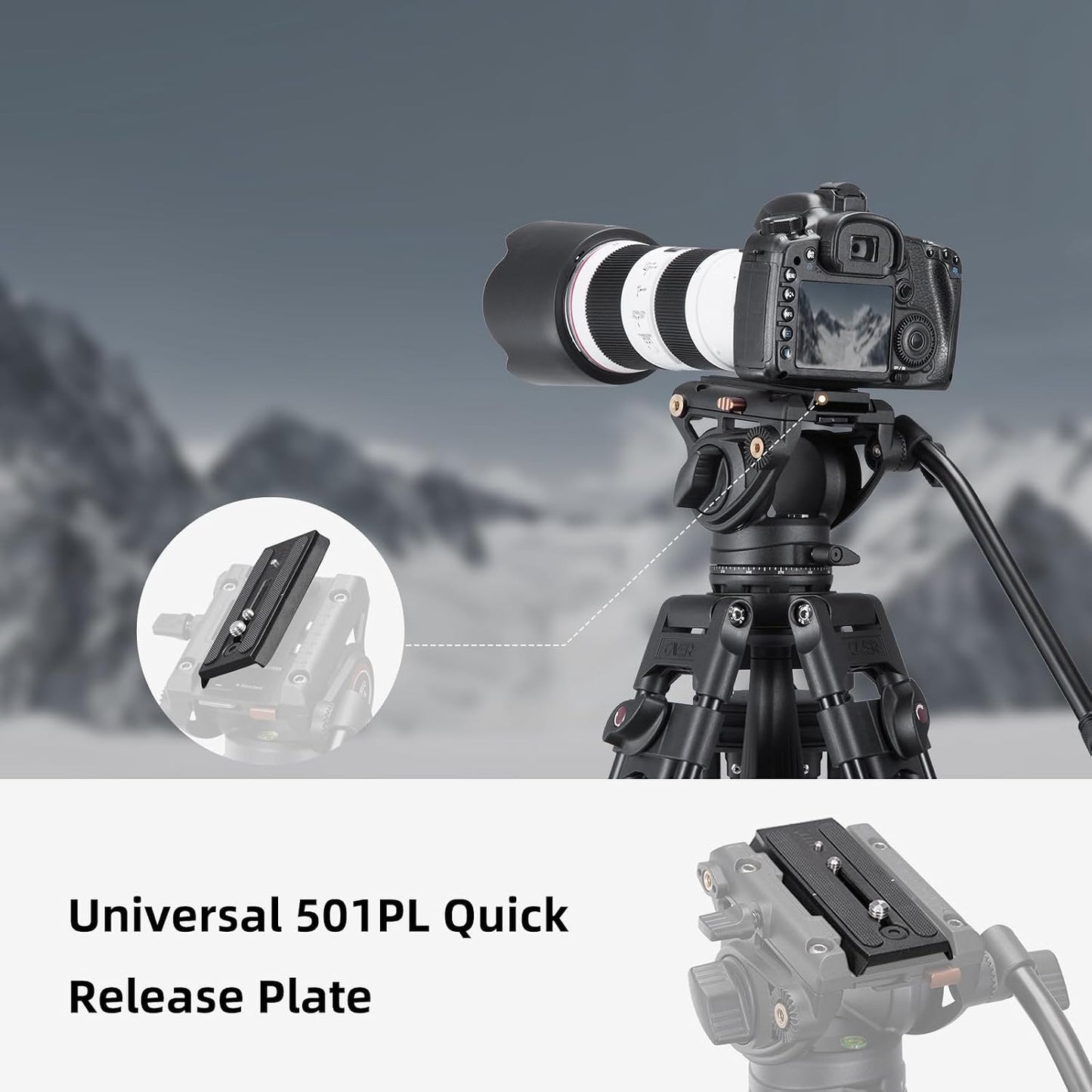 Cayer QR120 1/4 inch 3/8 inch K3 K6 H4 H6 H8 K10 501PL Tripod Fluid Head Quick Release Plate Replacement