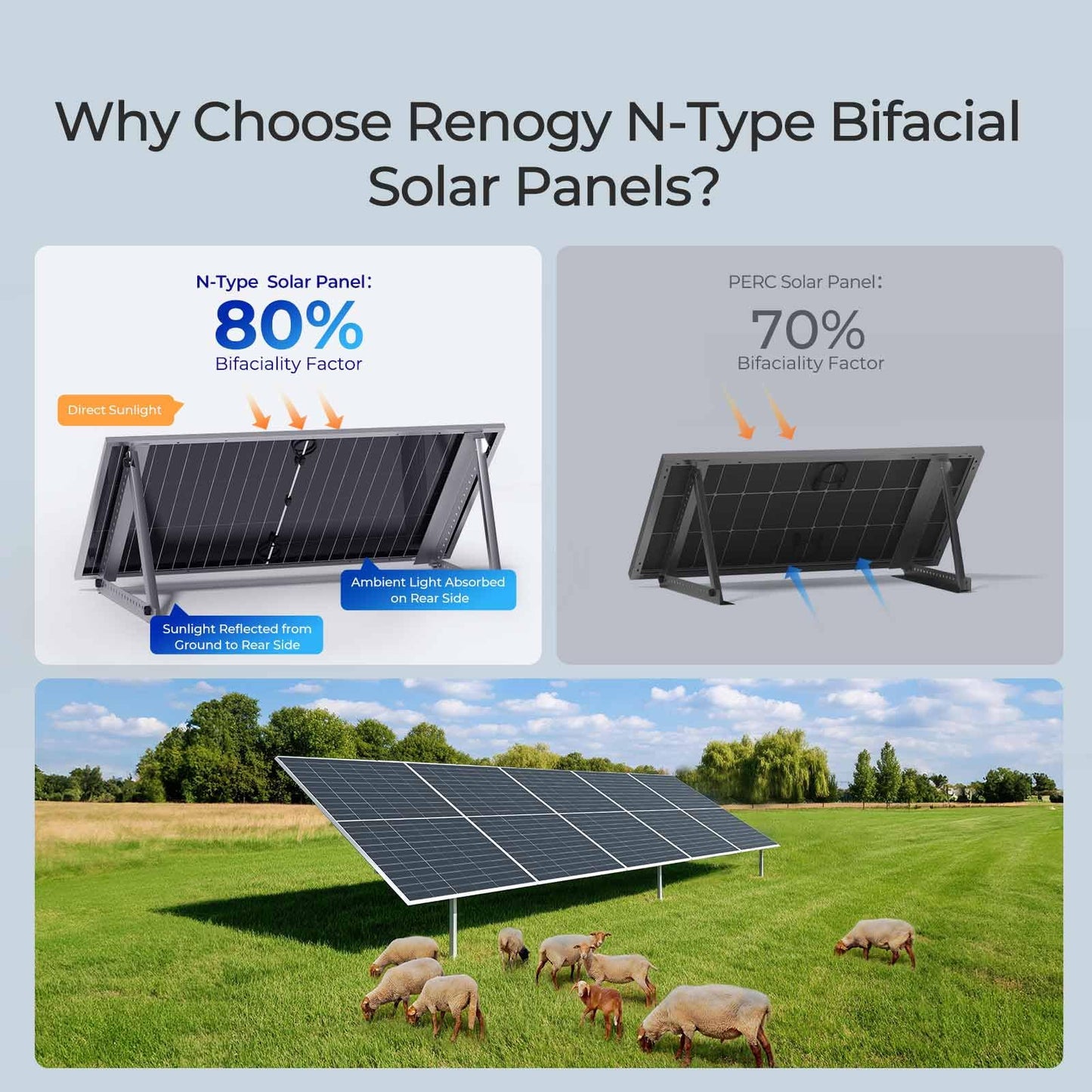 Renogy Solar Panels 1180W 12V/24V N-Type Bifacial Solar Panel 2PCS 590W Monocrystalline On/Off Grid Application Over 1000 Watt Solar Panel High Efficiency Durable for Homes Roof RV Boat Camping Black