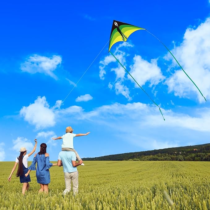 Large Delta Kite for Kids & Adults - Easy to Fly Outdoor Kites for Kids Ages 8-10, Perfect for Beach & Family Activities, Includes Line & Handle