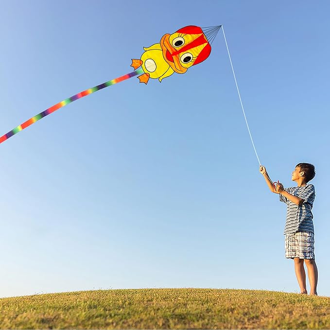 Duck Pattern Kites for Kids, Cute Large Kite Duck Kite with Long Colorful Tail for Kids & Adults, Easy to Fly Kite for Beginners Outdoor Activities