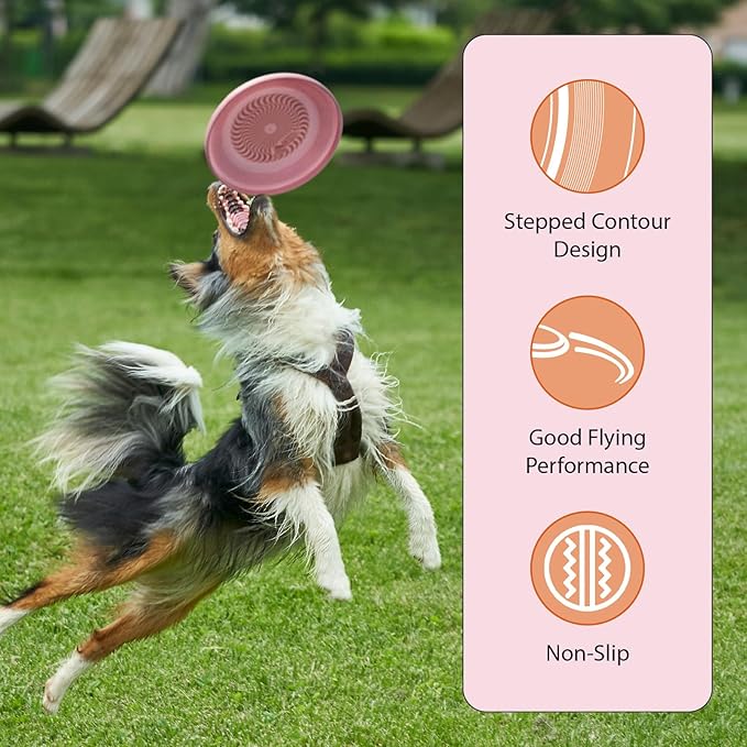 Wham-O Frisbee Fastback Flying Disc, 9.35 Inch Dog-Friendly Lightweight Sports Disc Toy for Outdoor Beach Backyard Games,Team Sports and Family Fun - 100g