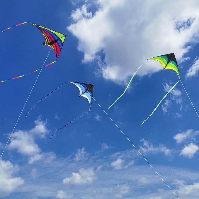 Mint's Colorful Life Delta Kite for Kids & Adults, Extremely Easy to Fly Kite, Best Kites for Beginner