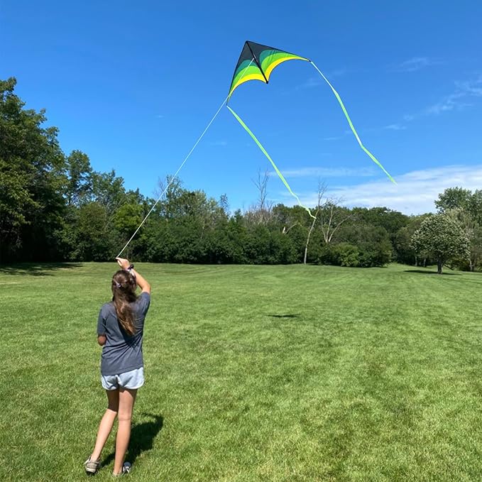 Mint's Colorful Life Delta Kite for Kids & Adults, Extremely Easy to Fly Kite, Best Kites for Beginner