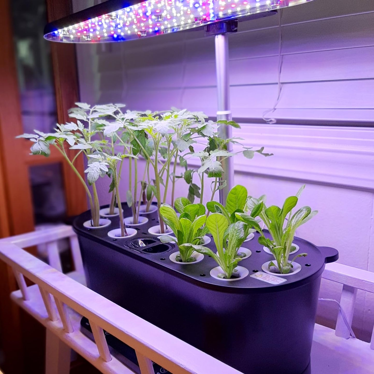 EAGLE PEAK Flex Ultra Compact 4x4 Pop-up Canopy with 15 Pods Hydroponics Growing System