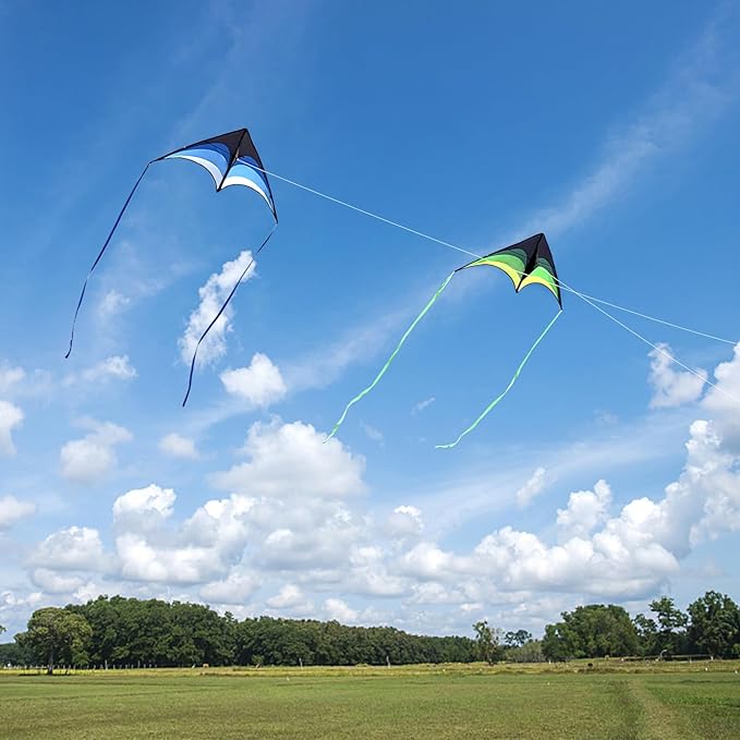 Mint's Colorful Life Delta Kite for Kids & Adults, Extremely Easy to Fly Kite, Best Kites for Beginner
