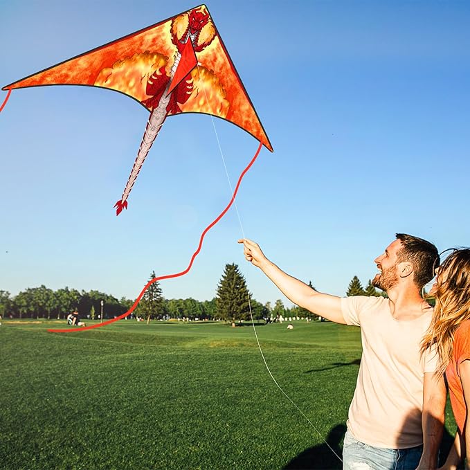 Kite for Kids 4-8 & 8-12, Delta Kites for Kids & Adults Easy to Fly, Huge Dragon Kites for Beginner, Beach Trip Park Family Outdoor Games and Activities