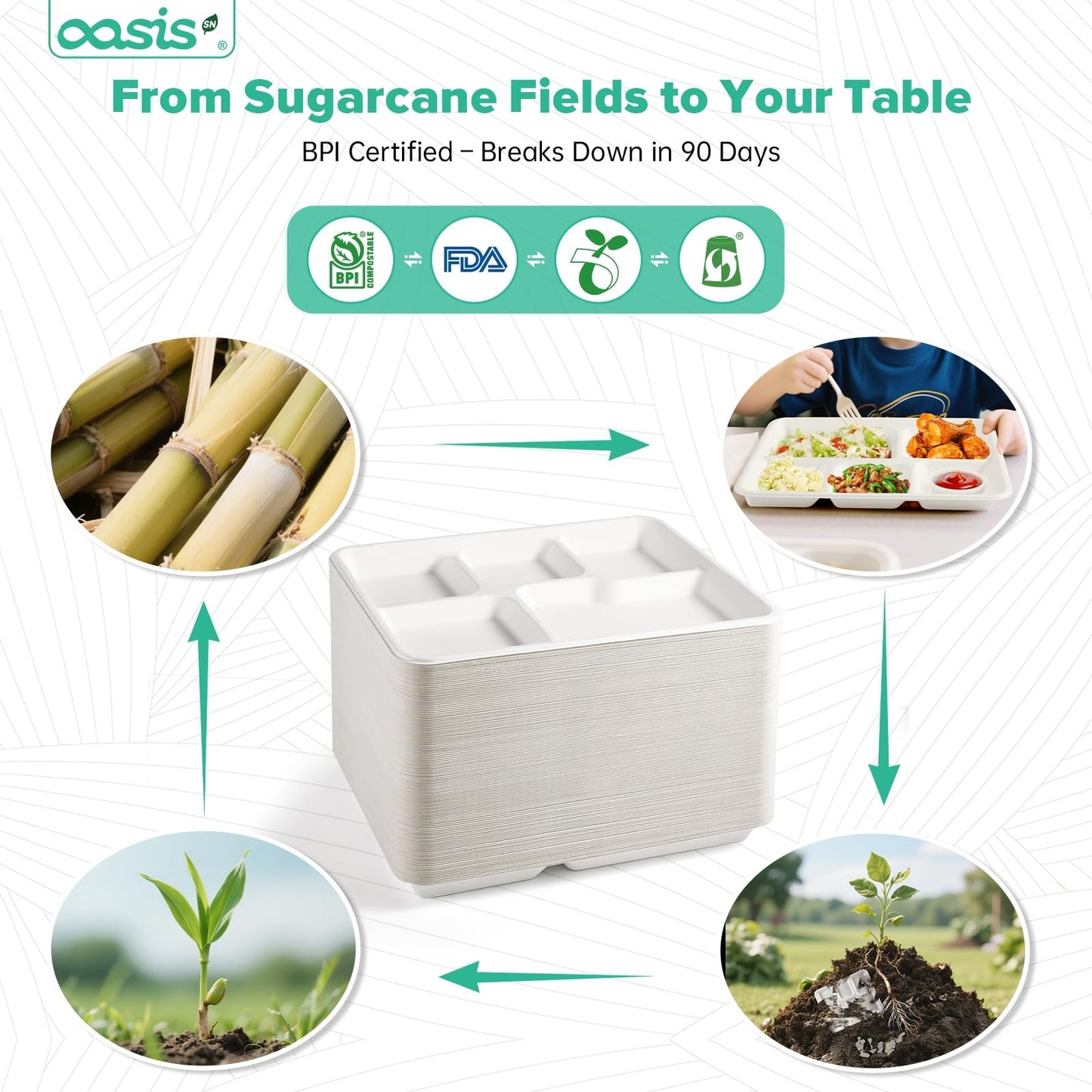 OasisSN 10x8 128-Pack 5-Compartment Divided Plates, Ideal for Light Meals, Kids Lunch, Meal Prep & Party, Heavy Duty Compostable Bagasse Plates, Microwave Safe, White