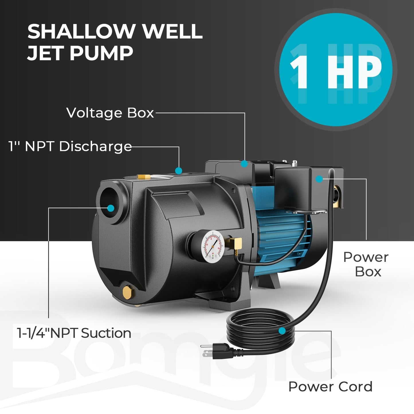 LEO 1HP Shallow/Deep Well Jet Pump with Ejector Kit, 115V/230V Durable Cast Iron Pump, Well Depth up to 50 ft, Automatic Pressure Switch, for Farm, Lawn, Garden