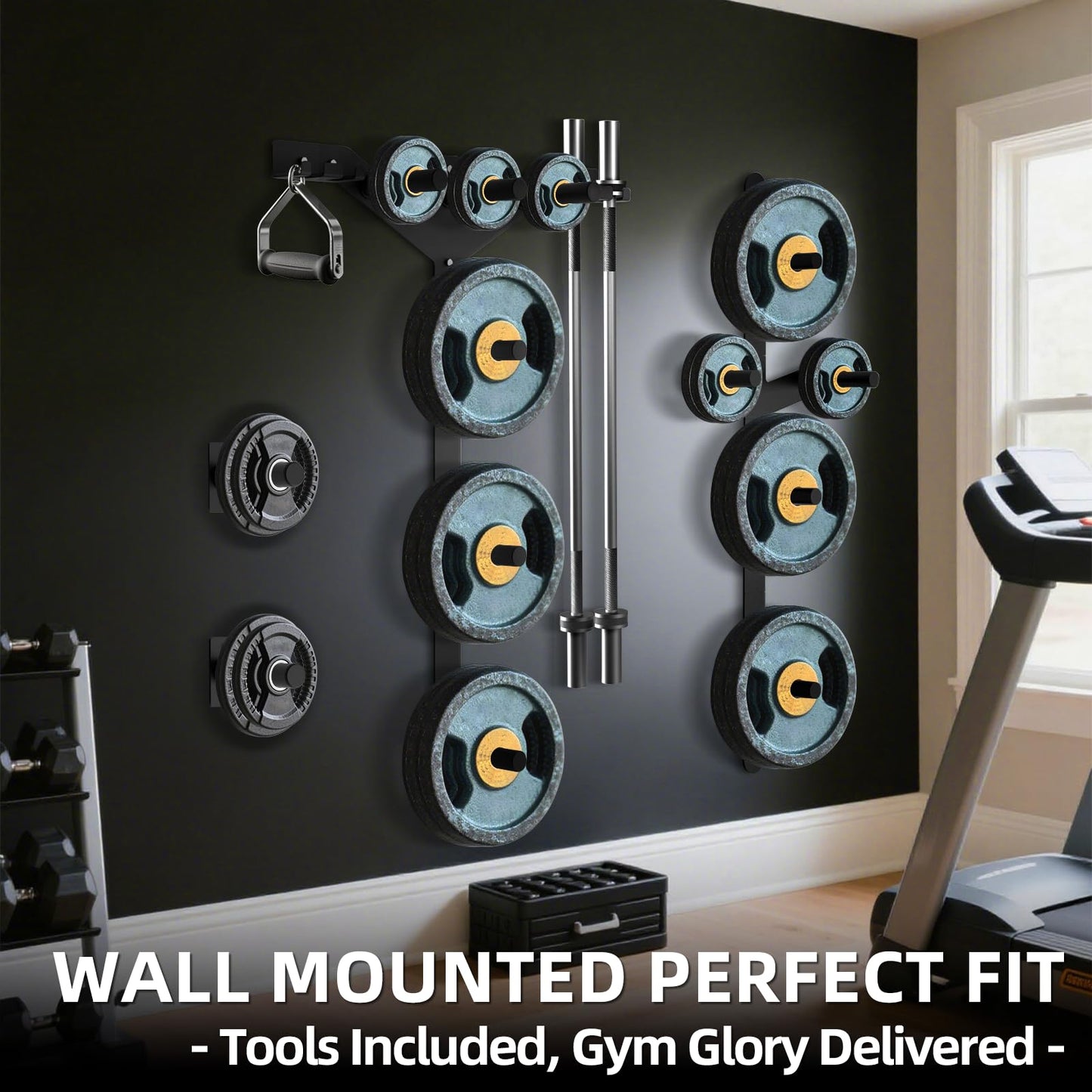 Weight Plate Storage Rack, Wall Mounted Bumper Plate Weight Rack Storage, Space Saving Strength Training Plate Trees for Garage Home Gym Strength Training, Load Up to 700 LBS, 3-Peg, Fit 2" Plates (Weight Plate Storage Wall Mount)