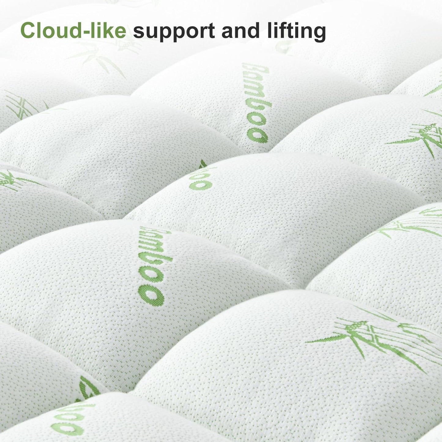Skiennix Queen Size Mattress Topper - Soft Bamboo Viscose Pillow Top for Back Pain Relief | Cooling Protector, 8-21 Inch Deep Pocket, White