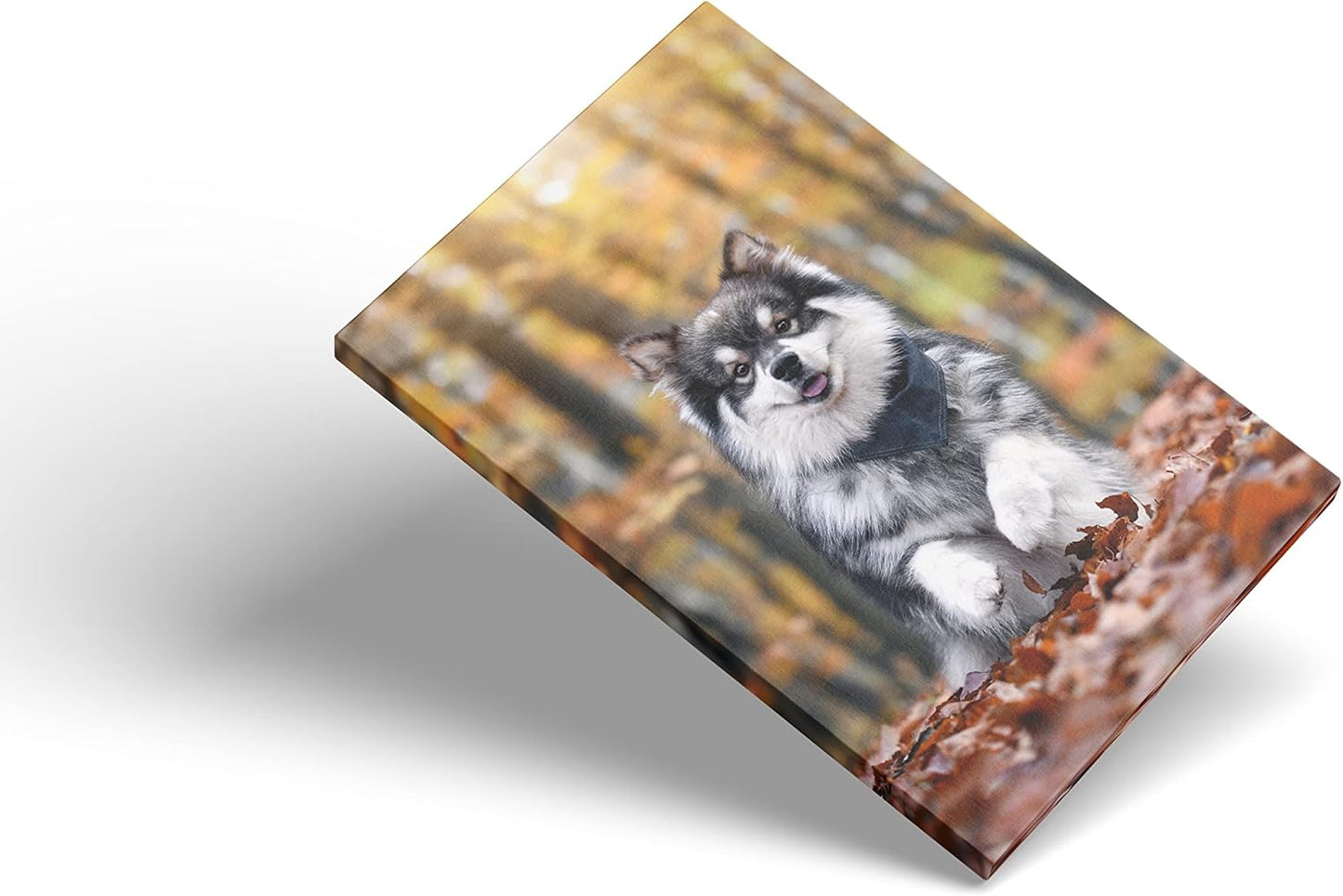 Skiennix Custom Canvas Prints - Personalized Wall Art for Bedroom & Living Room | 5" W x 7" H, Gift Wrapping Available