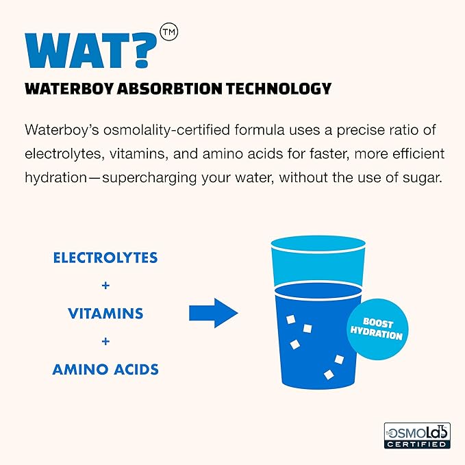 Waterboy Weekend Recovery | 3,200mg Electrolyte Powder Packets | Ginger + L-Theanine + Vitamins | No Sugar, All Natural, Gluten Free | 24 Drink Stick Mixes (Fruit Punch)
