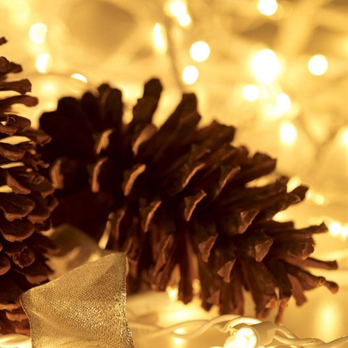 HISHINY Christmas Lights - 100 Count Mini Clear String Lights | 21ft White Wire for Indoor/Outdoor Decor