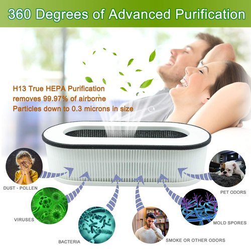 Flintar RP-AP068 Replacement Filter, Compatible with RENPHO Compact Air Purifier RP-AP068, 3-in-1 H13 Filtration and Activated Carbon Filter, 2-Pack