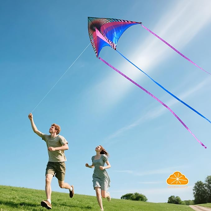 ORGCLDKT-Rainbow Cruiser Delta Kite, Kites for Kids Ages 8-12,4-8,Boys,Girls,Kites for Adults,Beach,Beginners,Giant.1Pc or 3Pcs Pack. Easy to Fly.