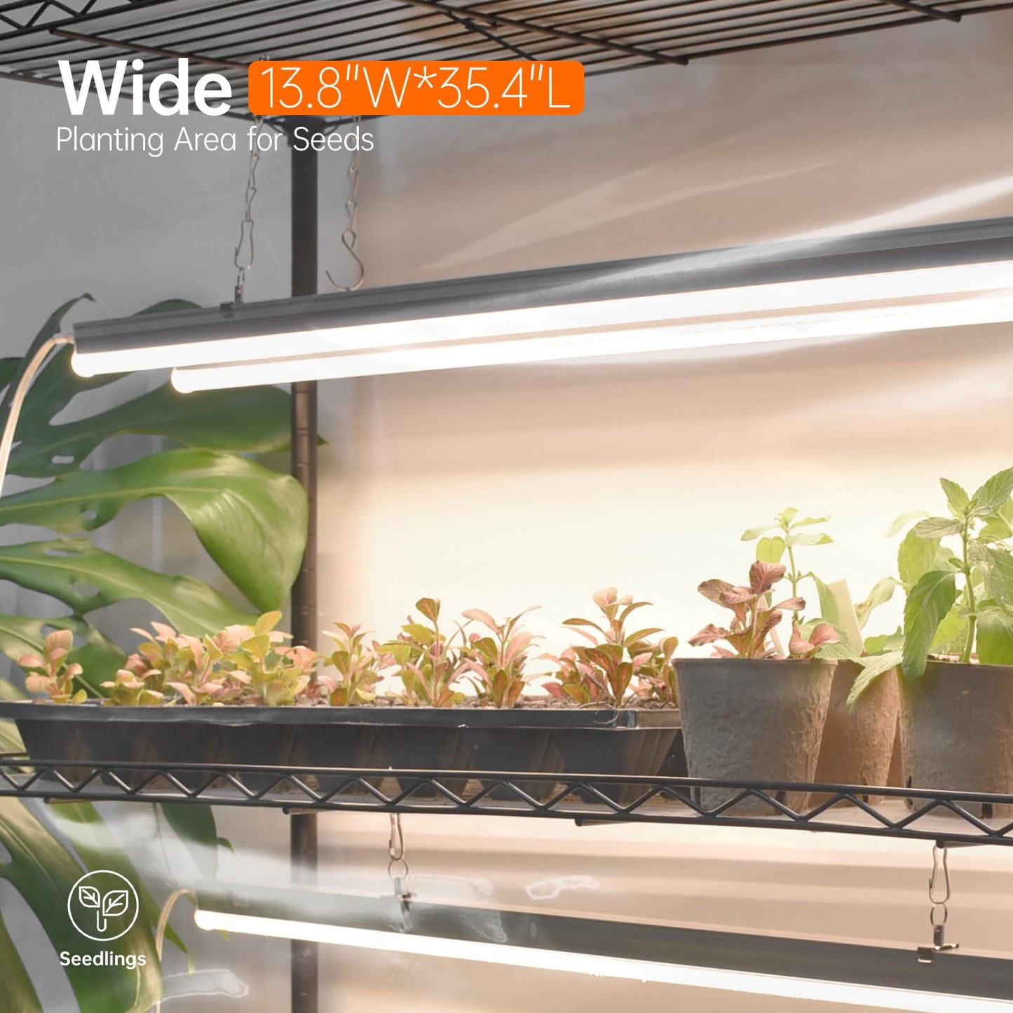 Bstrip Indoor Greenhouse with Grow Light, Indoor Greenhouse Cabinet with 6 Pack 90W Grow Lights with Timer, Mini Green House for Indoor Plant, Seed Starter, Seeding, 35.4"x13.8"x70.8"