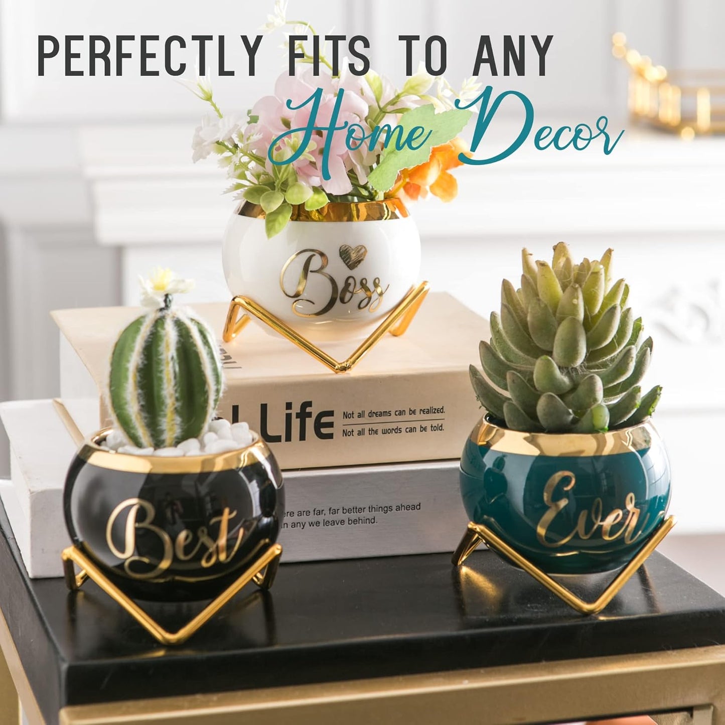 PeraBella Boss Gifts for Women | Thoughtful Succulent Pots - Perfect for Boss's Day & Birthdays - 3 Pcs