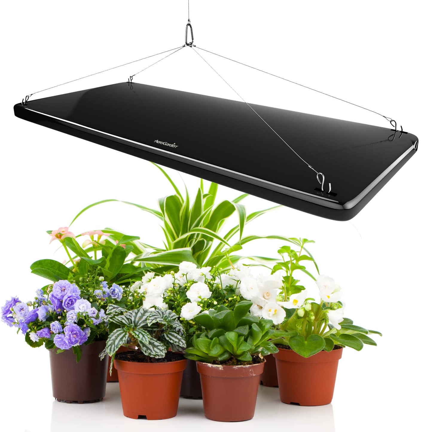 AeroGarden 45W LED Grow Light Panel - Grow Light for Plants, Includes Stand and Hanging Kit