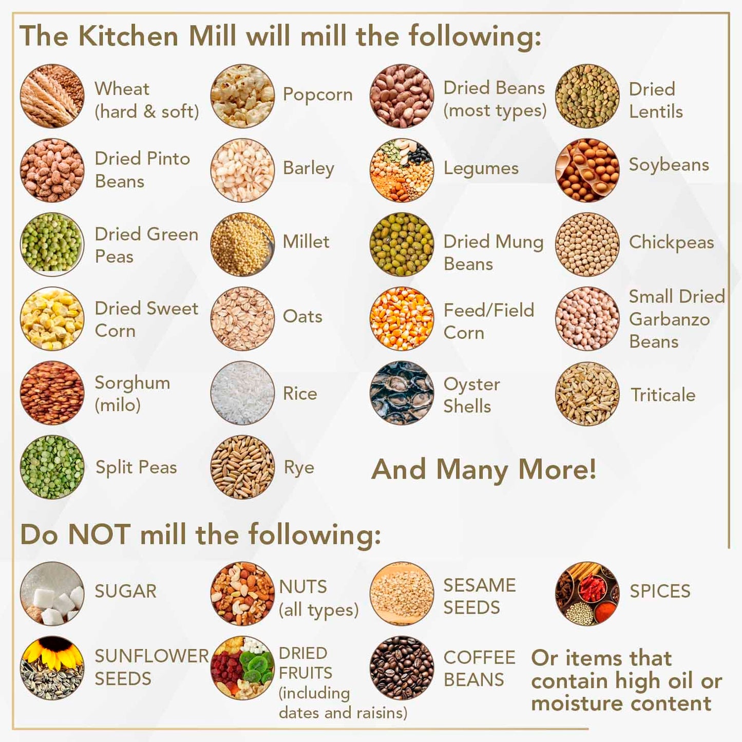 Kitchen Mill - Electric Grain Mill - High Speed Wheat, Corn, Grain Grinder, Flour Mill - Assembled in the USA - Stainless Steel Milling Chamber