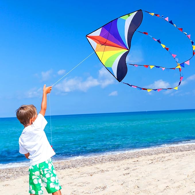 Delta Kite for Kids & Adults - Easy to Fly Large Single Line Beach Kite with 300ft String Handle Included, Perfect for Beginners, Teens