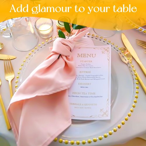 fani 24 Pack Clear Charger Plates Bulk 13 Inch Plastic Round Dinner Chargers with Beaded Rim, Acrylic Decorative Service Plates for Wedding Party Event, Home and Tabletop Decor (Gold)