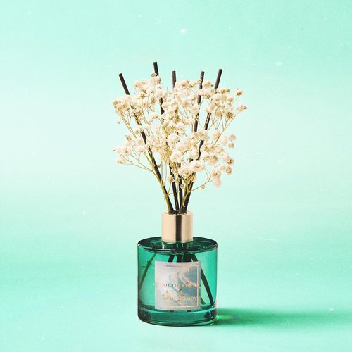Cocorrína Reed Diffuser - Hawaii Melody 6.7 Fl. Oz Set with 8 Sticks & Preserved Baby's Breath | Home Decor