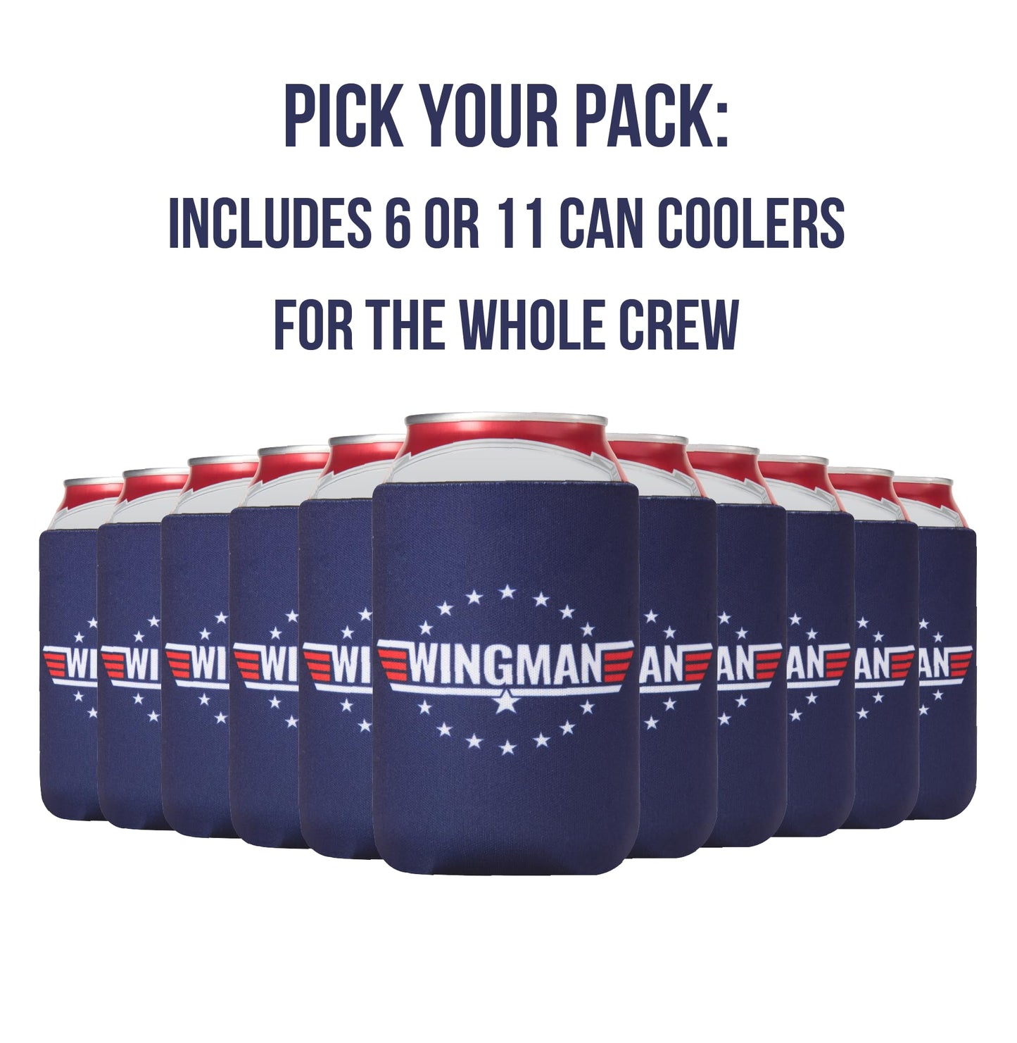 Bachelor Party Favors Can Coolers (12 pack) Groomsman Gift for Wedding I Team Groom Gifts | Wedding Party Favors
