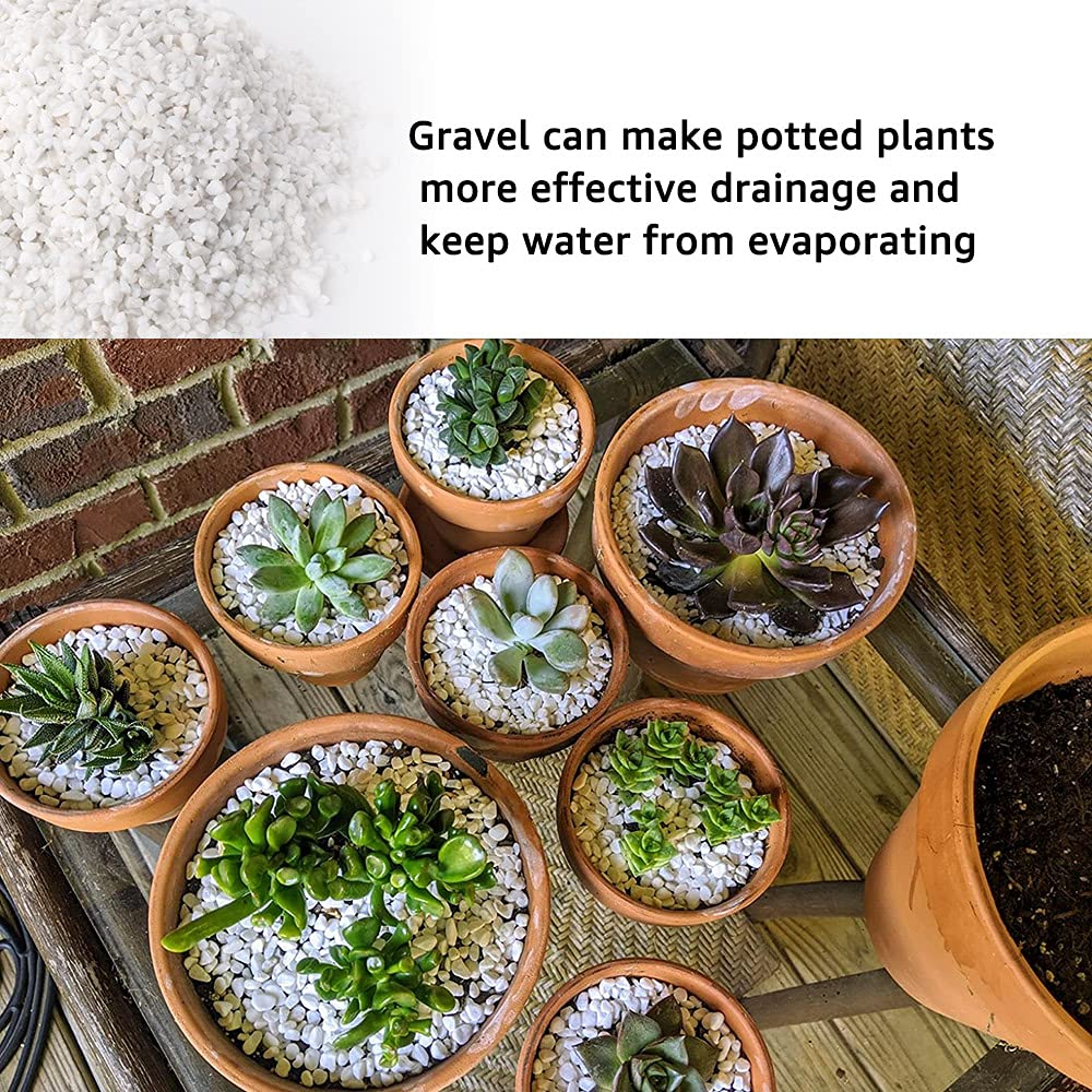 18lb White Cactus Pea Gravel Rocks,1/4 Inch Pebbles for Indoor Plants, Natural Succulent Rock and River Rocks Decorative for Aquariums, Vases, Outdoor Gardening, Top Dressing for Potted Plants