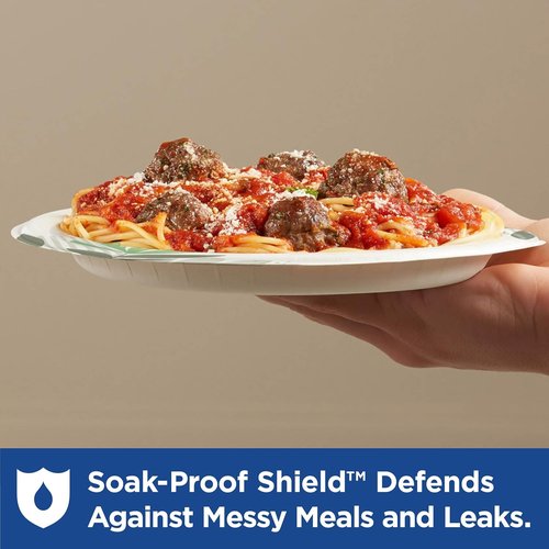 Dixie Disposable Paper Plates - Medium-Weight Pathways Design | 300 Count Bulk Case (6 Packs of 50)