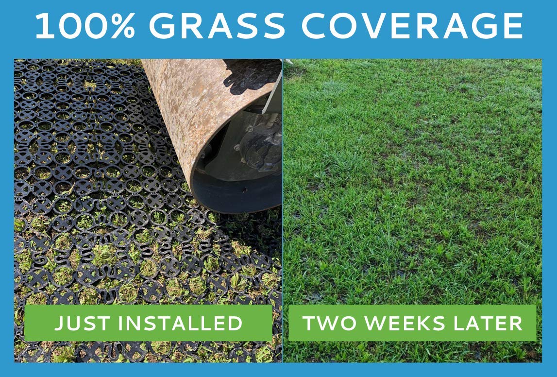 TRUEGRID | Root Grass Pavers | Designed as Outdoor Pavers for The Patio, Driveway, Walkways, Shed Bases, DIY Projects | 120,000 lb Load Class | Pack of 18 (72 Sq. Ft.)