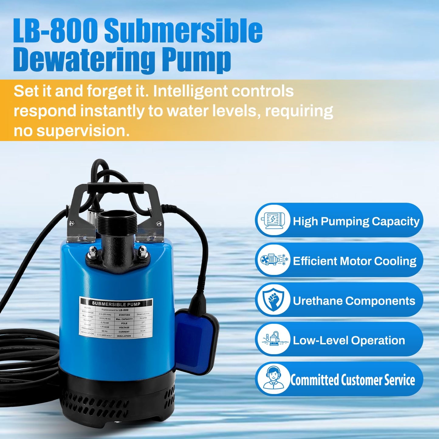 LB-800 1 HP 115V Submersible Dewatering Pump w/Float Switch Replacement for LB-800-62 2'' Straight Male NPT Submersible Drainage Utility Pump Single Phase 70 GPM