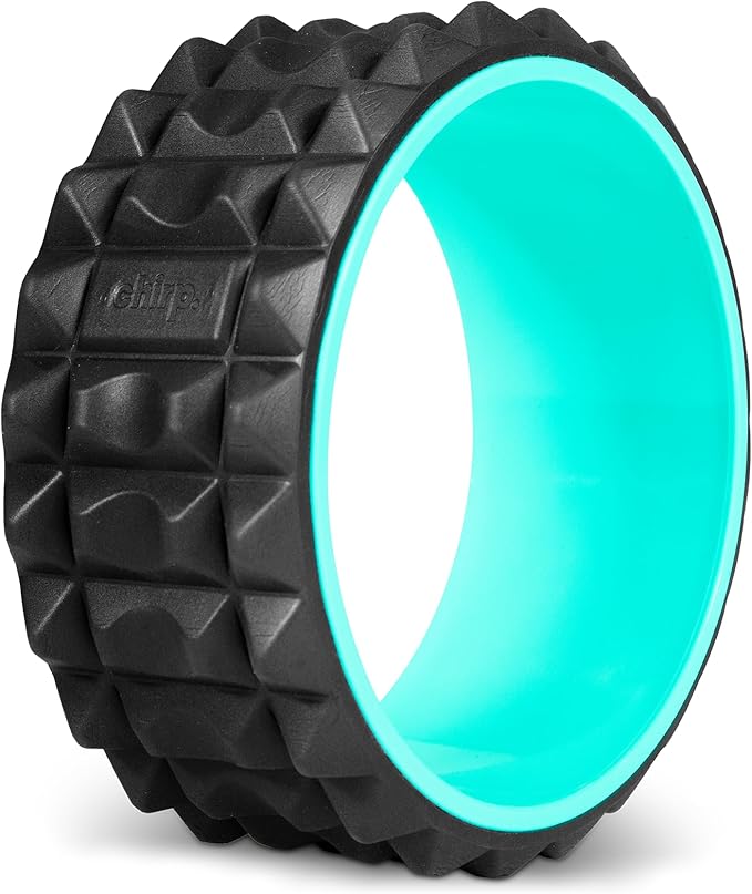 Chirp Wheel XR Acupressure - Back Relief & Muscle Relaxation, Stress Melting, Targeted Trigger Point Release, Comfort Cushioning, High-Density Foam Roller, 500lbs Capacity, 10" Mint