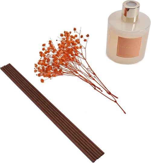 Cocorrína Premium Reed Diffuser Set - Coconut Lime Scent with Preserved Baby's Breath | 6.7oz Home Décor