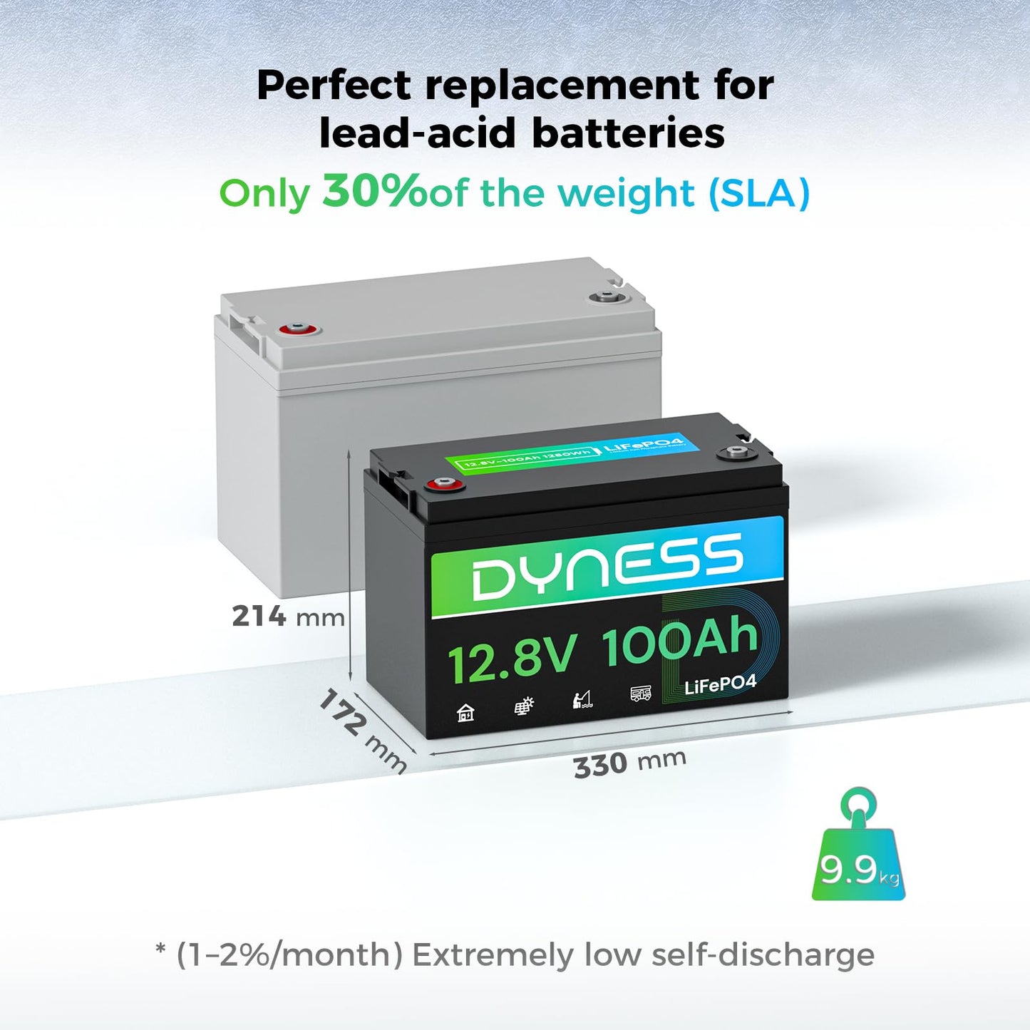 Dyness 12V 100Ah LiFePO4 Lithium Battery (2 Pack) BCI Group 31 with Low-Temp Protection, A+ Grade Cell Built-in 100A BMS, 12 Volt Lithium Battery Perfect for RV, Solar System, Off-Grid, Home Energy
