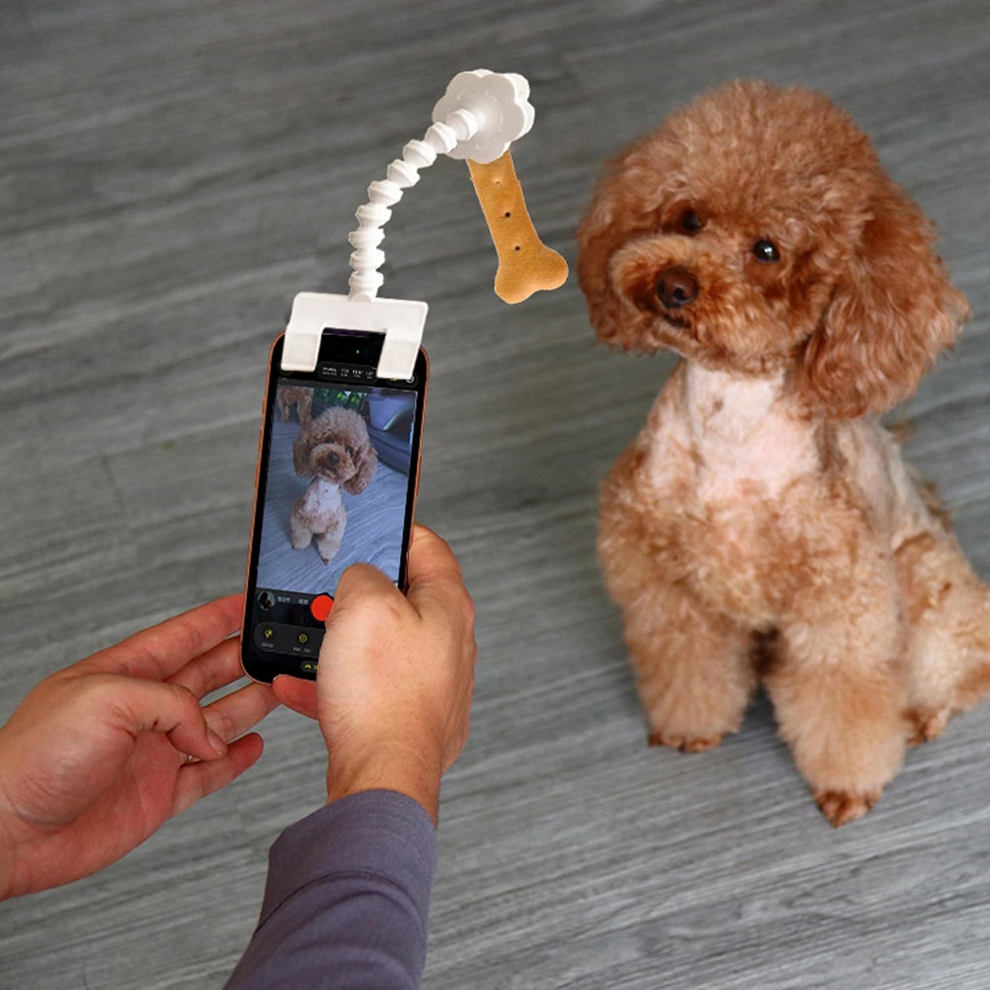 BAIRUYAO 360Rotation Pet Selfie ToolDog Treat Clip Cat Selfie Treat Holder,Dog Looking Lens Camera ToolUniversal Selfie