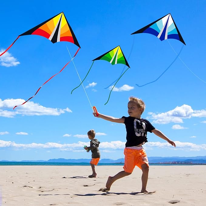 Delta Beginner Kite for Kids & Adults, Easy to Fly Beach Kite