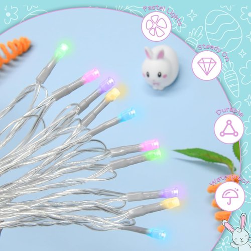 Cshare Easter String Lights - Battery Operated 30 LED Fairy Lights with Timer | 9.8ft Transparent Wire for Indoor & Outdoor Decorations (2 Packs)