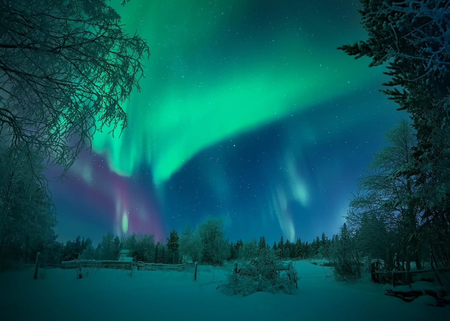 BELECO 8x8ft Fabric Aurora Borealis Backdrop Winter Forest Snowfield Northern Lights Night Sky Background Polar Lights