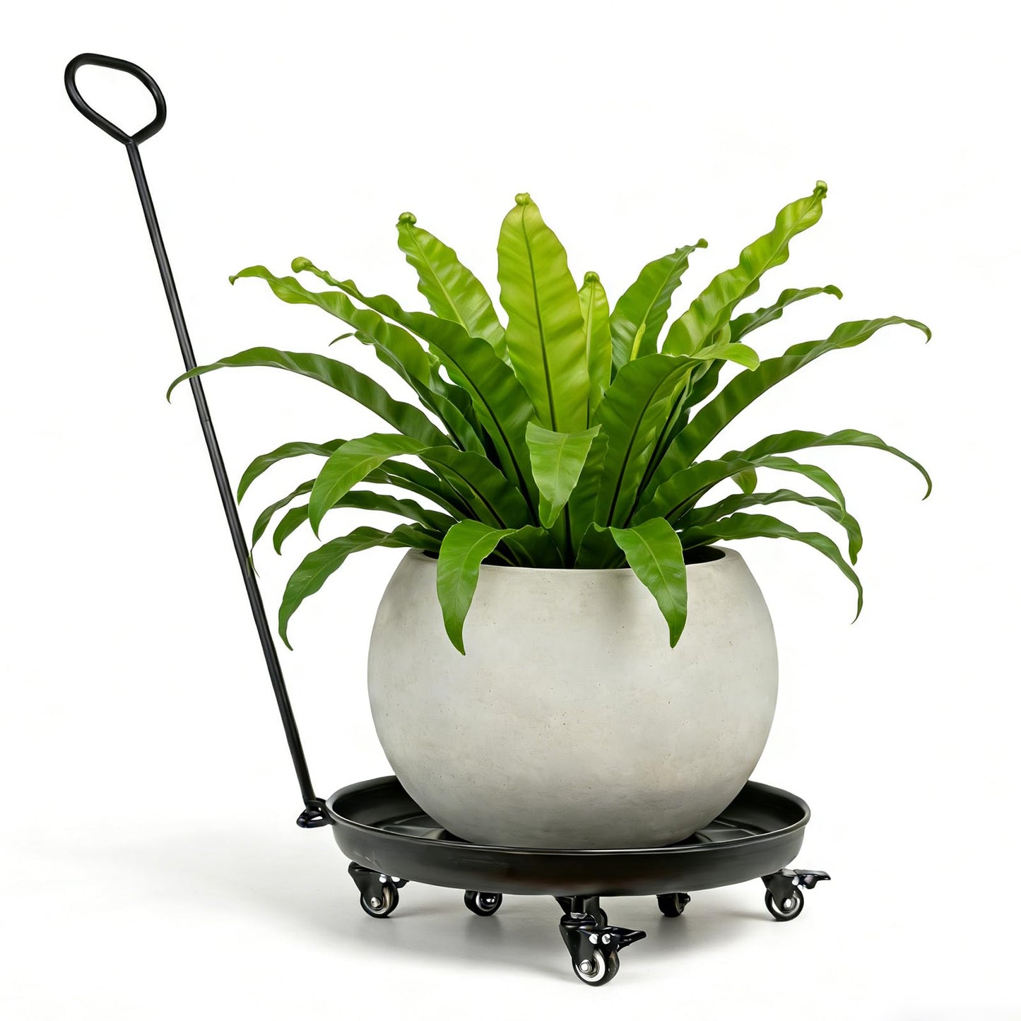 Goooxim 20-Inch Heavy-Duty Plant Dolly with Locking Wheels – Large Rolling Planter Base for Indoor/Outdoor Use, 200 lb Capacity, Durable Steel Construction & Waterproof Tray