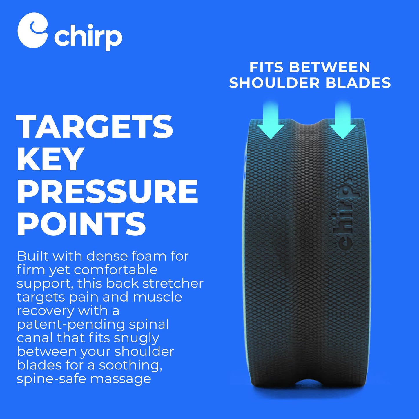 Chirp Wheel Foam Roller - Targeted Back & Neck Pain Relief, Muscle Massage, Trigger Point Therapy, High-Density Foam Tool for Physical Therapy, Stretching & Exercise, 500lbs Capacity, 10-Inch Mint