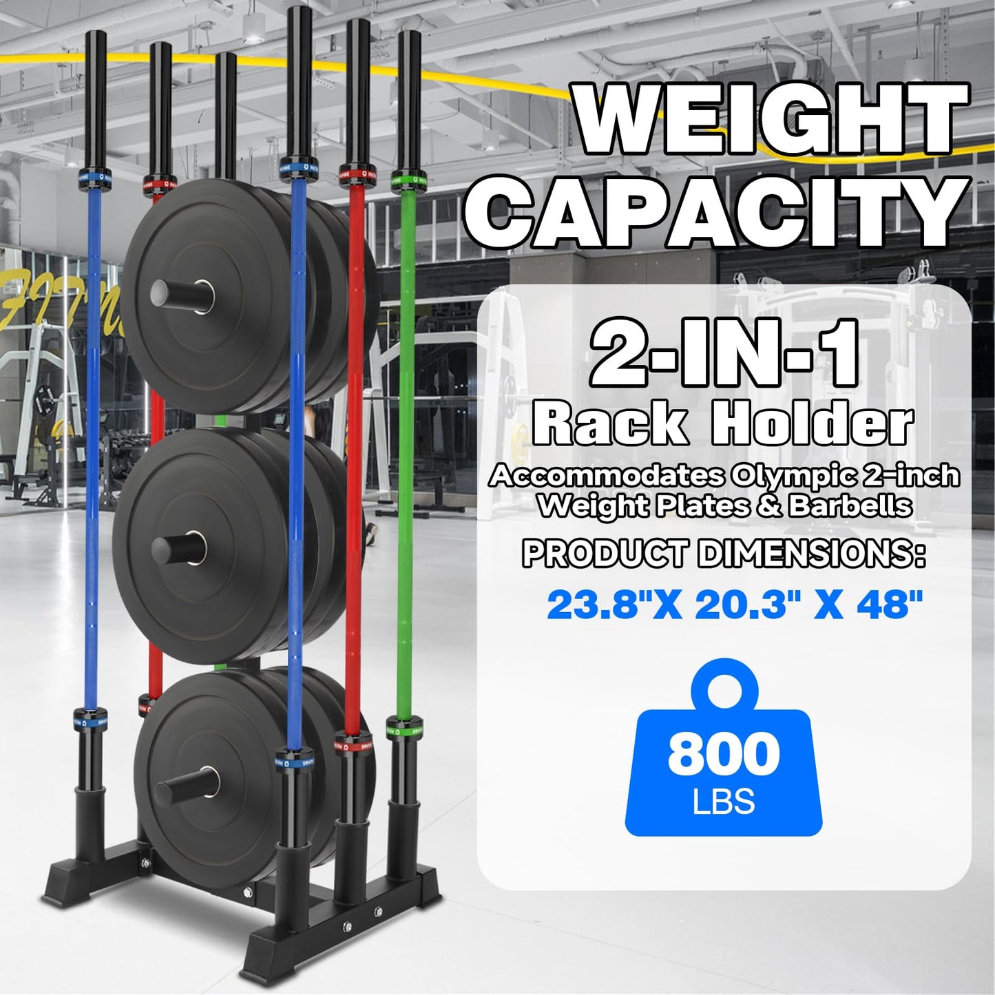 RICHUANG Olympic Weight Plate Rack for Bumper Plate Storage, 2 Inch Weight Plate Tree and Barbell Holder for Home Gym, 4-Pegs 6-Pegs Olympic Weight Tree, Capable of Holding Up to 880LB
