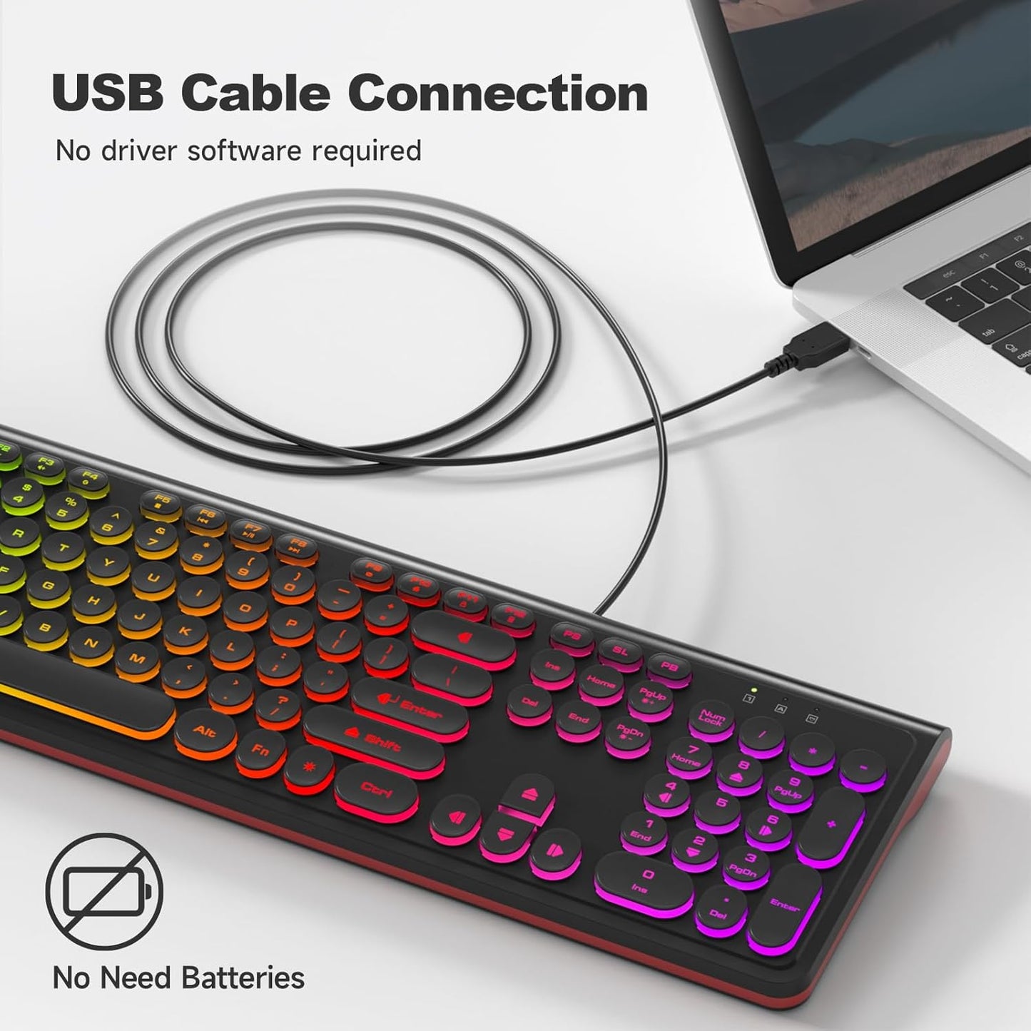 Dilter 7 8 10 11 USB Wired Computer Keyboard with Backlit - Full Size Office Keyboard with Number Pad, Caps Indicators