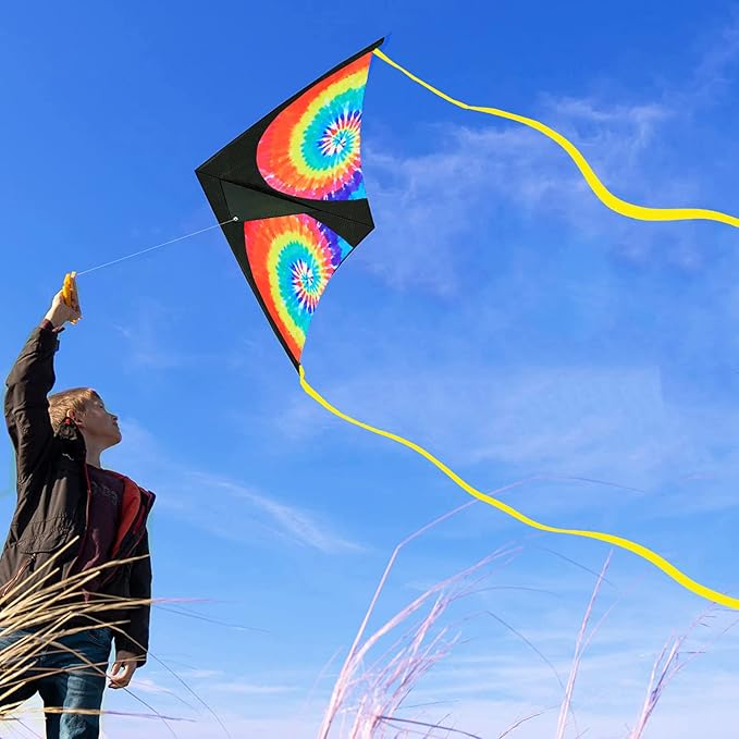 Delta Beginner Kite for Kids & Adults, Easy to Fly Beach Kite