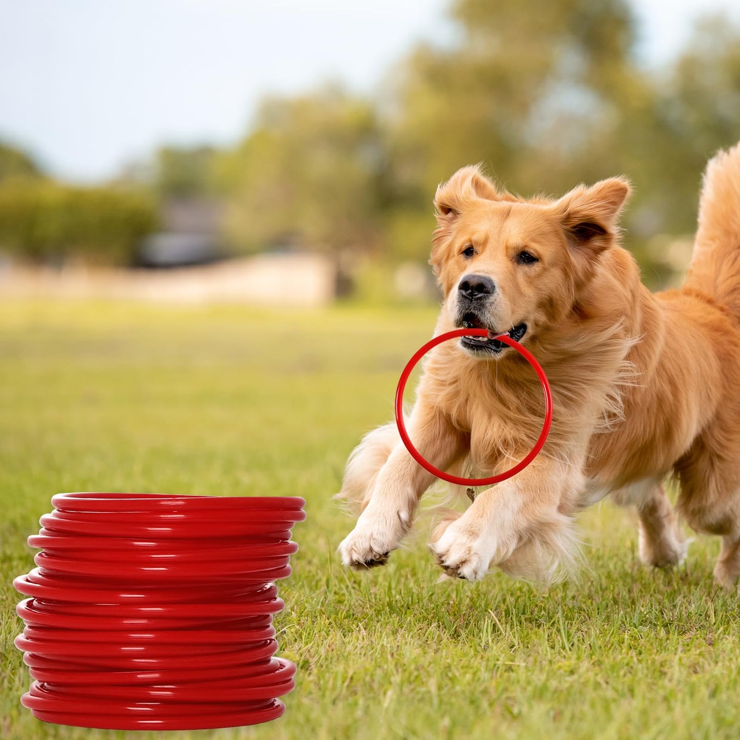 Topbuti 24 Pcs Plastic Ring Toss Game Carnival Rings Outdoor Toss Rings for Speed and Agility Practice Games, Bridal Shower Game, Game Booth