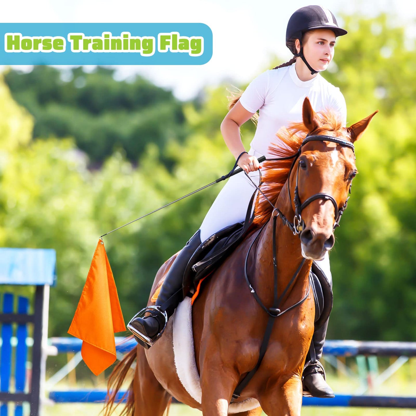Equestrian Training Flag 4 Pieces Equestrian Training Equipment Nylon Flag with Flagpole(Orange, Green, Purple, Light Blue)