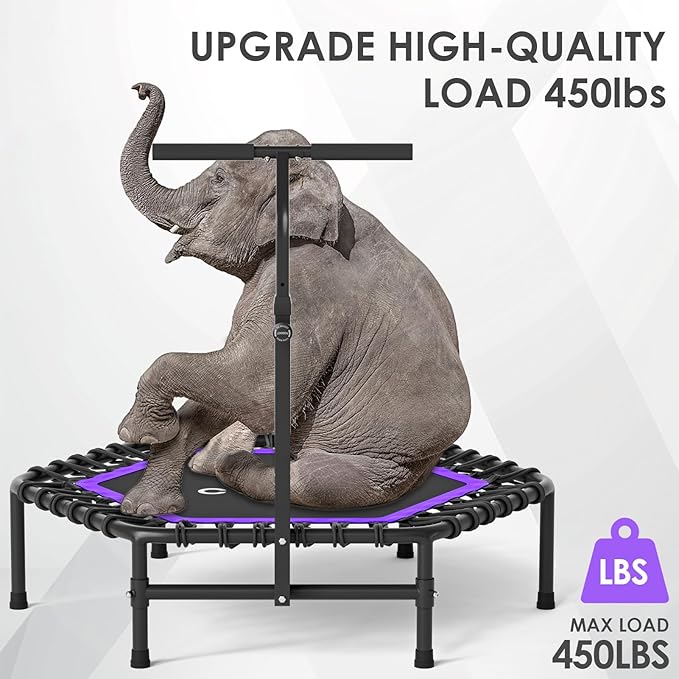 CLORIS 45'' Rebounder Trampoline for Adults - Max Load 450lbs, Mini Trampoline with Adjustable Foam Handle Indoor/Outdoor Fitness Body Exercise