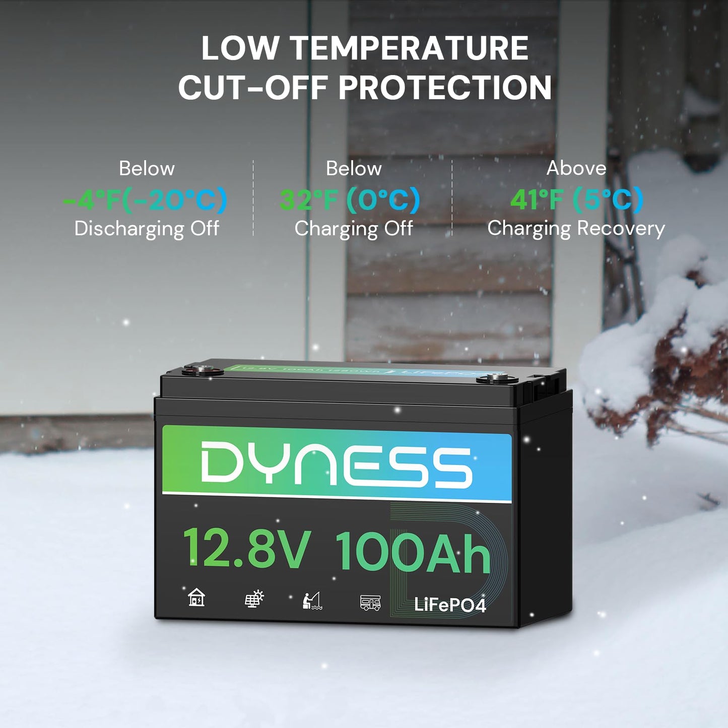 Dyness 12V 100Ah LiFePO4 Lithium Battery (2 Pack) BCI Group 31 with Low-Temp Protection, A+ Grade Cell Built-in 100A BMS, 12 Volt Lithium Battery Perfect for RV, Solar System, Off-Grid, Home Energy