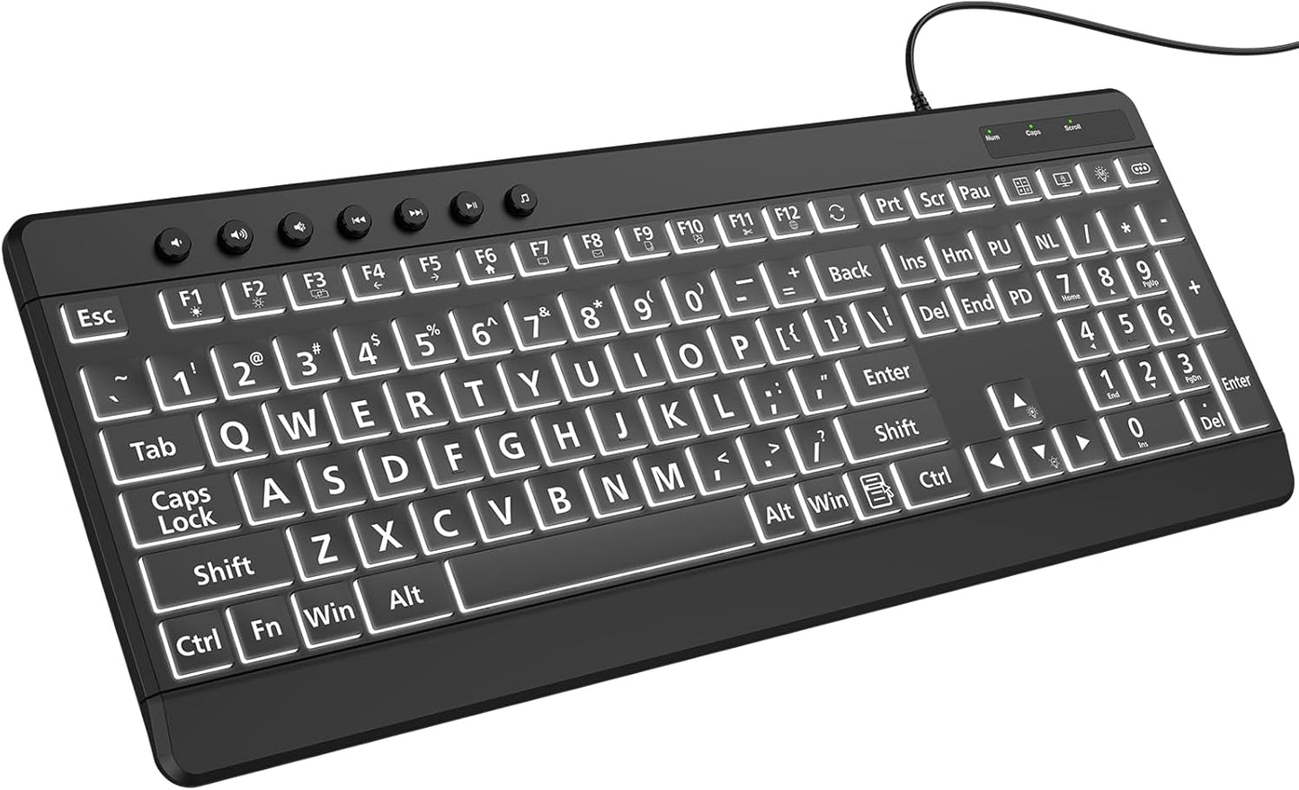 EDJO 7-Colors Large Print Backlit Wired Keyboard, Light Up USB Keyboard with Backlight, Oversize Letters Keys Full Size